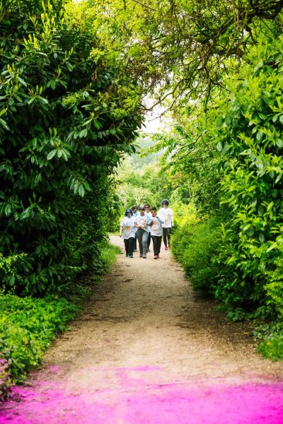 Running in color 2019 Coralie Daudin00082